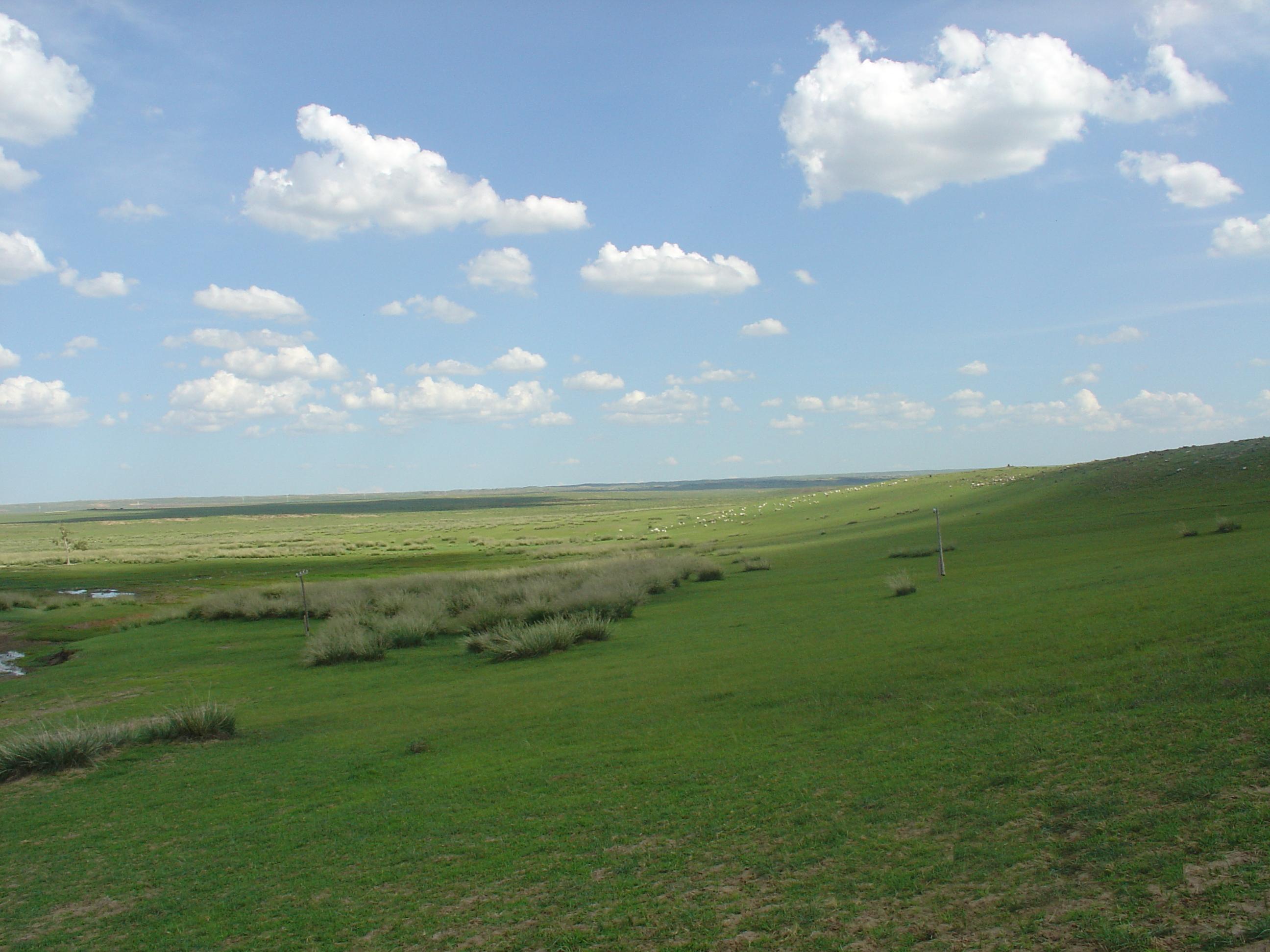 chinas-great-green-wall-spurs-environmental-gains-amid-controversy-in-inner-mongolia